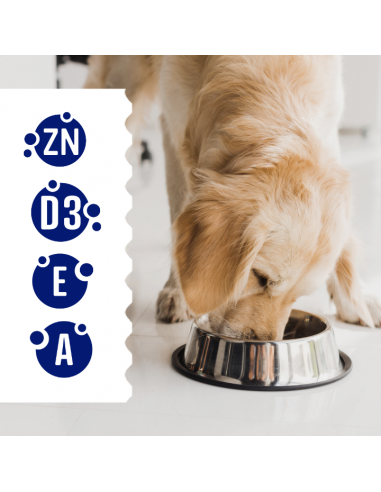 Zestaw saszetek mokrej karmy dla dorosłych psów kawałki z kaczką i wołowiną 60x85g 5906764003101 4