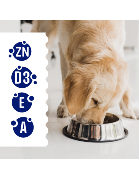 Zestaw saszetek mokrej karmy dla dorosłych psów kawałki z kaczką i wołowiną 60x85g 5906764003101 4