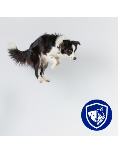 Zestaw saszetek mokrej karmy dla dorosłych psów kawałki z kaczką i wołowiną 60x85g 5906764003101 12