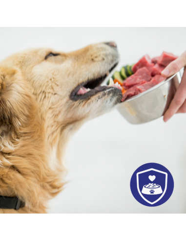 Zestaw saszetek mokrej karmy dla dorosłych psów kawałki z kaczką i wołowiną 60x85g 5906764003101 13