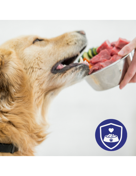 Zestaw saszetek mokrej karmy dla dorosłych psów kawałki z kaczką i wołowiną 60x85g 5906764003101 13