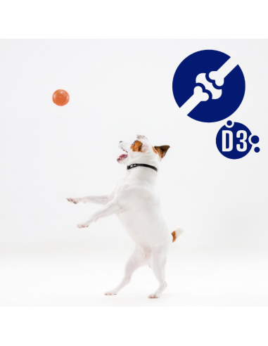 Zestaw puszek dla psa z wołowiną oraz dziczyzną i marchewką w sosie OptiVital 6x1250g 5907467782621 8