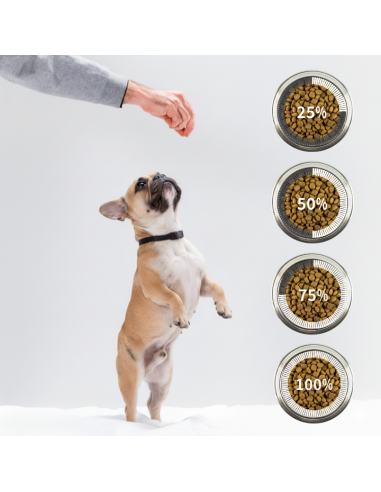 Zestaw puszek dla psa z jagnięciną, wątróbką i marchewką sosie OptiVital 6x1250g 5907467782638 13