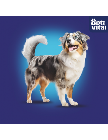 Zestaw puszek dla psa z cielęciną, sercami, wątróbką i marchewką w sosie OptiVital 6x1250g 5907467782645 3