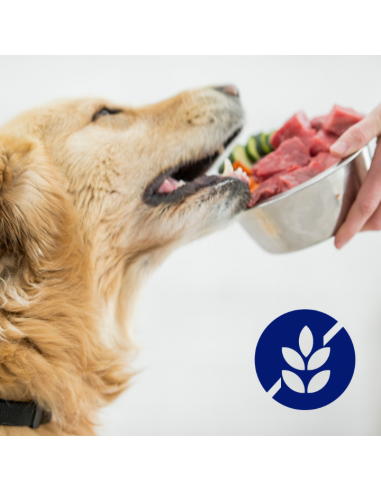 Zestaw puszek dla psa z cielęciną, sercami, wątróbką i marchewką w sosie OptiVital 6x1250g 5907467782645 11