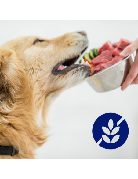 Zestaw puszek dla psa z cielęciną, sercami, wątróbką i marchewką w sosie OptiVital 6x1250g 5907467782645 11