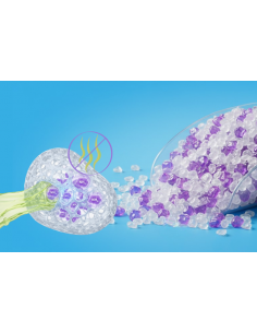 Bezzapachowy żwirek dla kota silikonowy Carlos 4x 3,8L 5905842537286 2