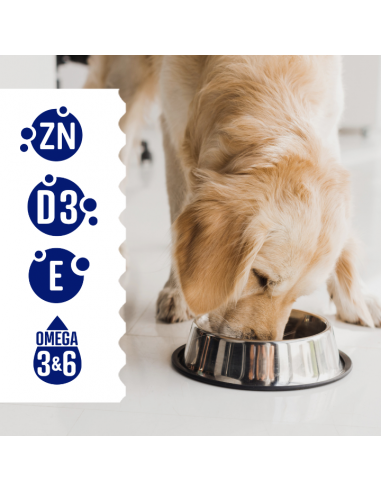 Pasztet dla dorosłych psów z kurczakiem, bogaty w indyka z marchewką OptiVital 400 g 5906764003453 4