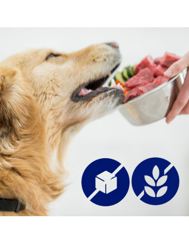 Pasztet dla dorosłych psów z kurczakiem, bogaty w indyka z marchewką OptiVital 400 g 5906764003453 5