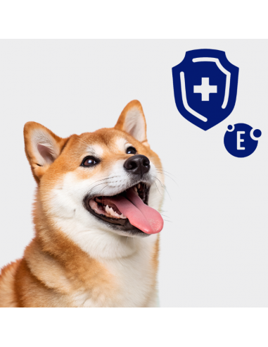 Pasztet dla dorosłych psów z kurczakiem, bogaty w indyka z marchewką OptiVital 400 g 5906764003453 7