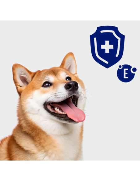 Pasztet dla dorosłych psów z kurczakiem, bogaty w indyka z marchewką OptiVital 400 g 5906764003453 7