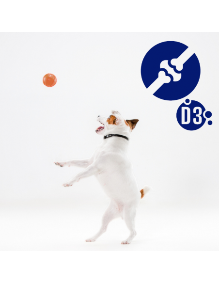 Pasztet dla dorosłych psów z kurczakiem, bogaty w indyka z marchewką OptiVital 400 g 5906764003453 8