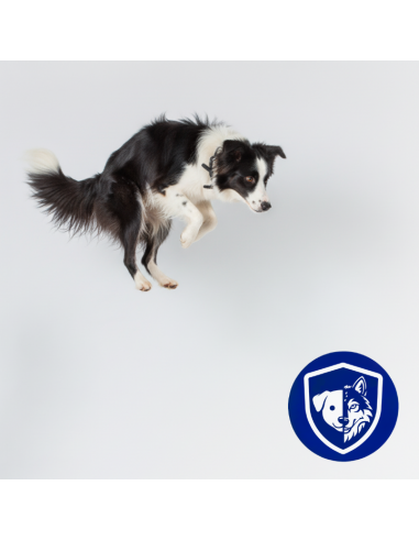 Pasztet dla dorosłych psów z kurczakiem, bogaty w indyka z marchewką OptiVital 400 g 5906764003453 10