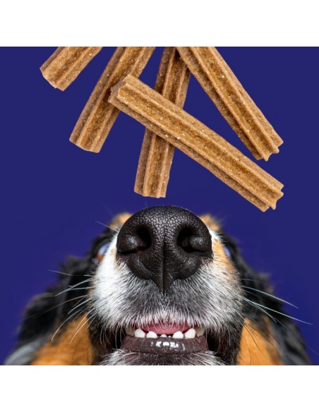 Bezzbożowy przysmak dentystyczny dla psów Dental stick OptiVital 180 g 5906764003019 13