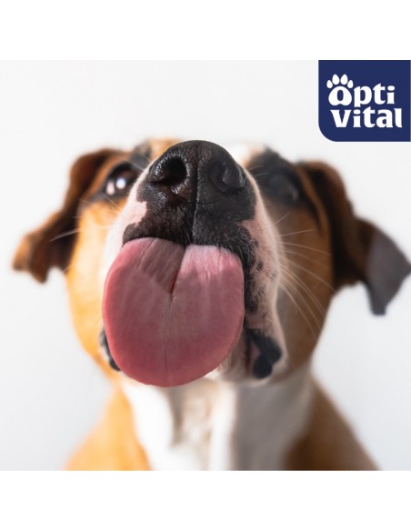 Miękkie kosteczki z wołowiną, przysmak dla psa OptiVital 90 g 5907467782812 8