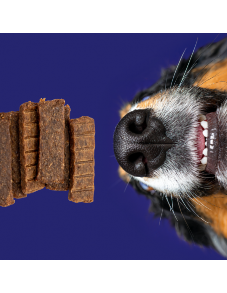 Mięsne filety bogate w wołowinę, bezzbożowa przekąska dla psa OptiVital 80 g 5906764003033 2