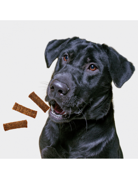 Mięsne filety bogate w wołowinę, bezzbożowa przekąska dla psa OptiVital 80 g 5906764003033 8