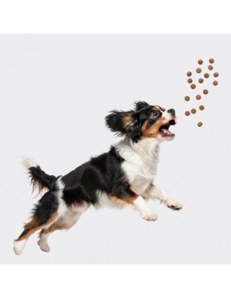 Mięsne miniburgerki z kaczką, jabłkiem i tymiankiem, smaczki dla psa OptiVital 60 g 5907467782799 2