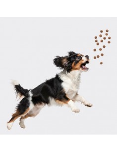 Mięsne miniburgerki z wołowiną, borówką i rozmarynem, przysmaki dla psa OptiVital 60 g 5907467782805 2