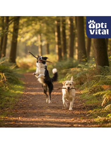 Mięsne miniburgerki z wołowiną, borówką i rozmarynem, przysmaki dla psa OptiVital 60 g 5907467782805 4