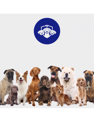 Mięsne miniburgerki z wołowiną, borówką i rozmarynem, przysmaki dla psa OptiVital 60 g 5907467782805 5