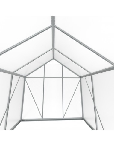 Duża szklarnia ogrodowa z poliwęglanu z oknami 361 cm x 183 cm 6,25m2  10