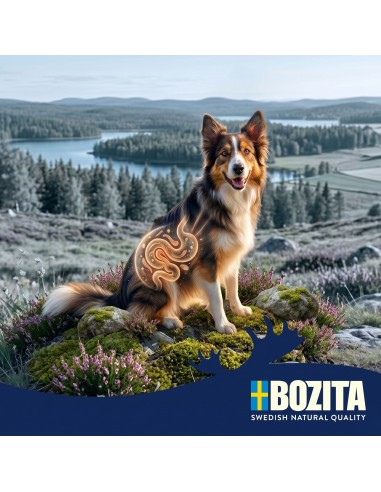 Monoproteinowa mokra karma dla psa pasztet pate Bozita puszka 400 g wieprzowina  7
