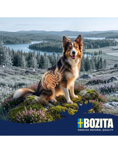Monoproteinowa mokra karma dla psa pasztet pate Bozita puszka 800g kaczka  6