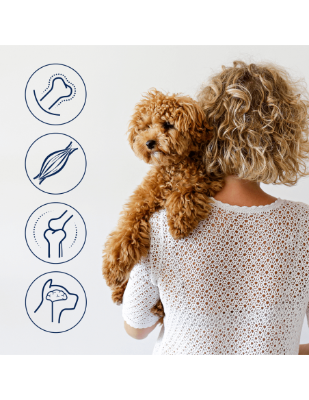Sucha karma dla psów wszystkich ras z reniferem dziczyzna Bozita 12 kg  5