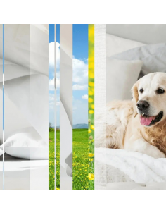 Glade® ONE - Pet, zapas do odświeżaczy powietrza zwalcza trudne zapachy zwierząt 2x 10 ml  2