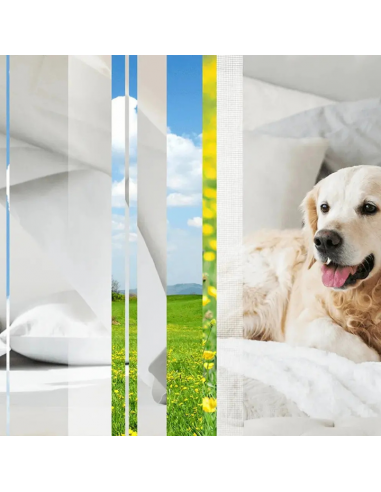 Glade® ONE - Pet, zapas do odświeżaczy powietrza zwalcza trudne zapachy zwierząt 2x 10 ml  2