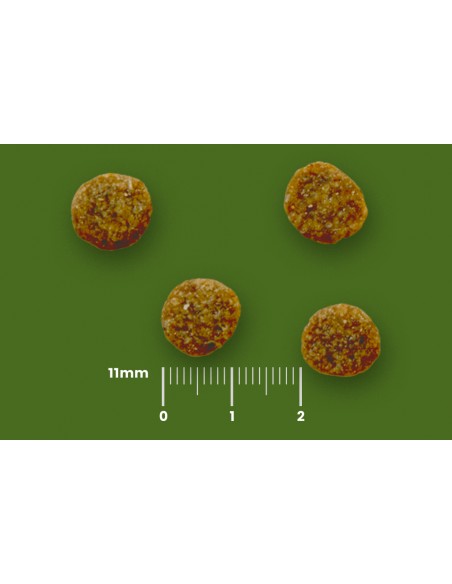 Sucha karma dla dorosłych psów małych ras z kurczakiem bez pszenicy BOZITA 3 kg  4