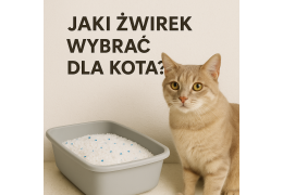 Jaki żwirek wybrać dla kota?