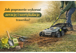 Jak poprawnie wykonać aerację i wertykulację trawnika krok po kroku?