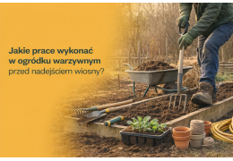 Jakie prace wykonać w ogródku warzywnym przed nadejściem wiosny?